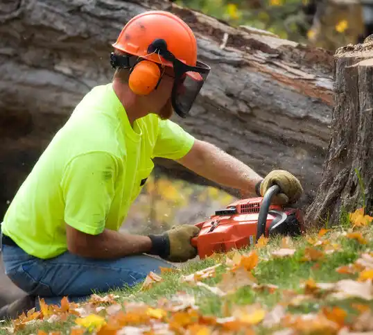 tree services Ironville